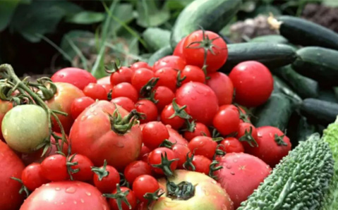 從農田到餐桌，健康食材一站式供應